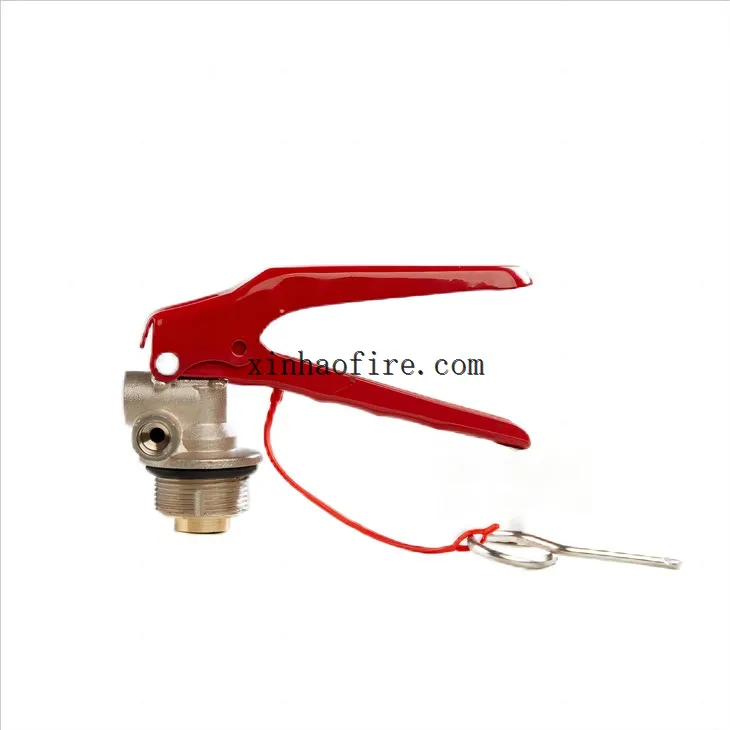 6kg ABC Dry Powder Fire Extinguisher Valve