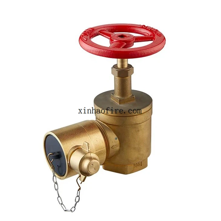 Fire Hydrant Valve With Instantaneous Adapter